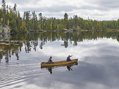 Wild Thing Series: Public Trust created in partnership with Ammonoosuc Conservation Trust and highlights films about the natural world at The Colonial Theatre, Bethlehem, NH